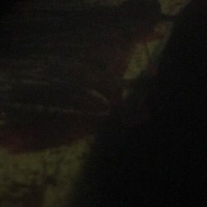 Meet your Posher, Lee